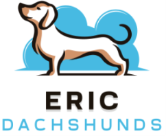 ERIC DACHSHUNDS